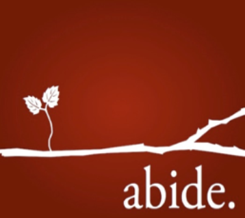 I am the vine; you are the branches.